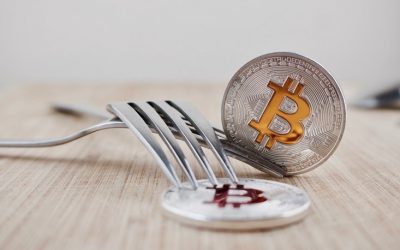 Cryptocurrency and Hard Forks