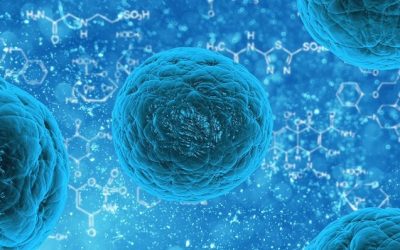 The Future of Stem Cell Therapy