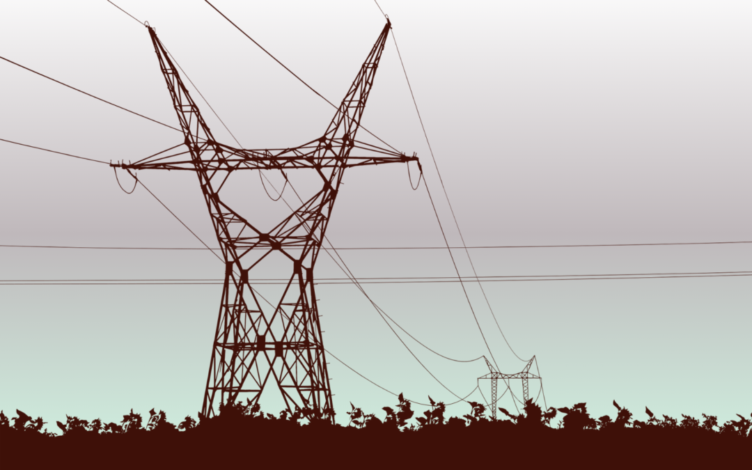 Innovations in Power: Jason Guck on Driving Sustainability in America’s Energy Grids